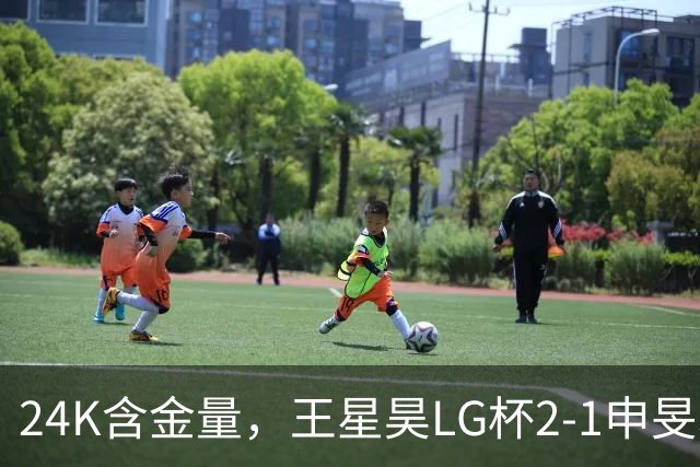 24K含金量，王星昊LG杯2-1申旻埈夺冠，局局领先大杀四方，中国围棋锐度提升